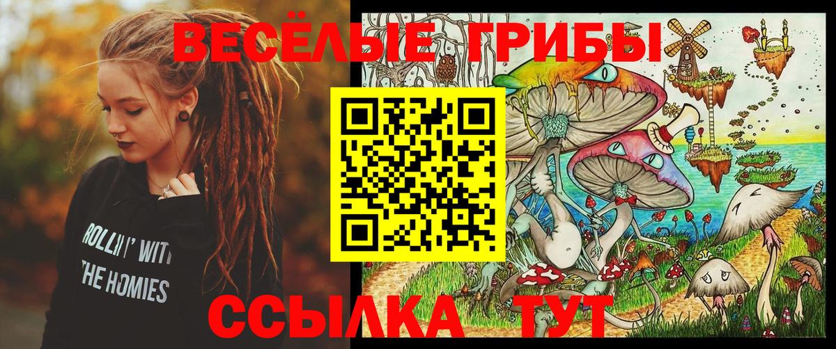 Галлюциногенные грибы Cubensis  Вход с VPN  Артёмовский 