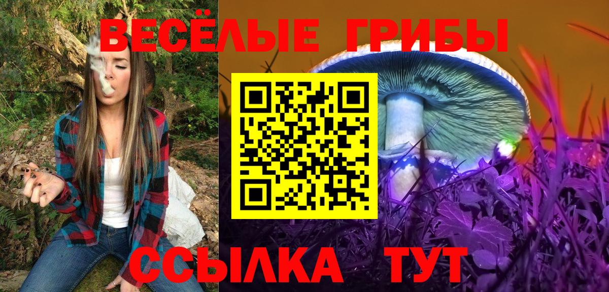 Псилоцибиновые грибы мицелий Артёмовский